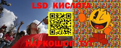 крисы Дубна