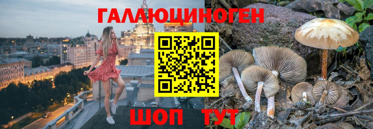 Гусь-Хрустальный  Псилоцибиновые грибы GOLDEN TEACHER  Вход с VPN 