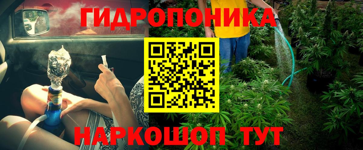 Конопля ГИДРОПОН  Бошки Шишки White Widow  Канабис VHQ  Вход с VPN  Гусь-Хрустальный 